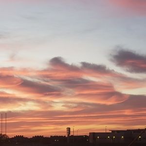 Meet your Posher, Ned